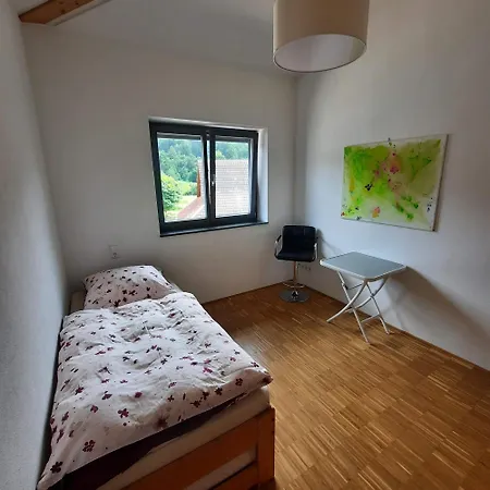 Bruetschi Hof Apartment Schopfheim