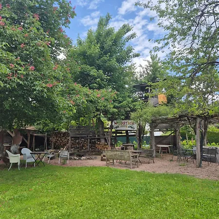 Bruetschi Hof * ショップハイム